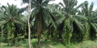 Fighting back against corporatocracy and Big Monopolies