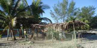 Canada, Honduras, and Enslaving “Free Trade”