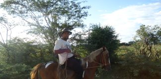 Honduras forced into a race to the bottom