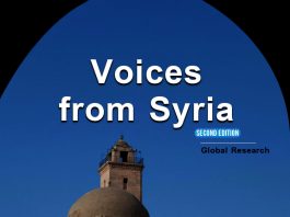 Cover of 'Voices from Syria' showing a silhouette against ancient ruins and a blue sky.
