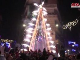 Crowd gathered around a large illuminated Christmas tree at night.
