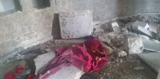 Letter to the Editor By Sheila Young