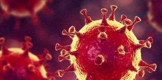 Questions for lockdown apologists/ By John Pospichal