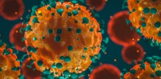 “Scientific Corona Lies” and Big Pharma Corruption: Hydroxychloroquine versus Gilead’s Remdesivir/ By Prof Michel Chossudovsky, Global Research