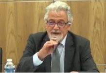 Prof. Michel Raimbaud to ST: If I were the Lebanese legal government, I wouldn’t meet Mr. Macron’s demands/ By Basma Qaddour/ 09 August 2020/The Syria Times