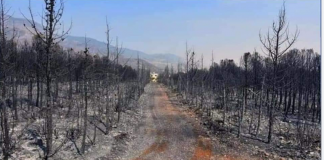 Syria Is Burning/ Commentary by Vanessa Beeley