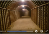 Tunnel Complexes and Slave Labour/ Commentary by Prof. Tim Anderson