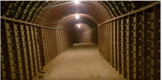 Tunnel Complexes and Slave Labour/ Commentary by Prof. Tim Anderson