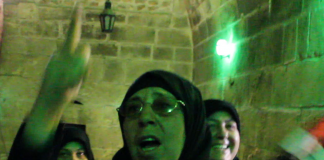 On the Failures of Mainstream Media/ By Sarah Abdallah, October, 2018 A woman passionately waving a flag in a dimly lit setting.