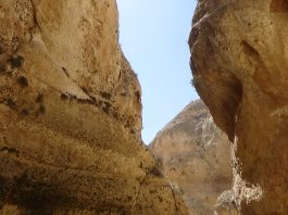 A narrow canyon with steep rock walls under a clear blue sky.