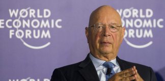 KLAUS SCHWAB AND HIS GREAT FASCIST RESET/ by winter oak