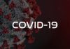 The PCR Test does not Identify the Virus: Covid “False Positives” Used to Justify the Lockdown and Closure of the National Economy/ By Prof Michel Chossudovsky