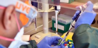 The WHO Confirms that the Covid-19 PCR Test is Flawed: Estimates of “Positive Cases” are Meaningless. The Lockdown Has No Scientific Basis