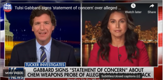 Tulsi Gabbard on OPCW Corruption.