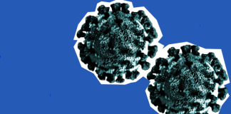 The Corona Crisis: A New Lockdown for Quebec is not A “Solution”. Open Letter to the Prime Minister of Quebec Mr. François Legault.