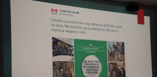 OPCW weaponised to further attack Syria – Land Destroyer