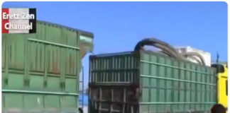 Throwback Syria 2012