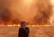 Imperialists Steal And Destroy. They Do Not Save Countries. \Commentary and media by Rida Ali