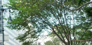 The United Nations and Western Governments Endorse Shocking Vaccine Mandates, Violating Human Bodily Integrity and Autonomy