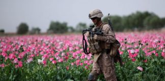 Afghanistan’s “Color Revolution”? Narcotics and the Opium Trade/ By Prof. Chossudovsky