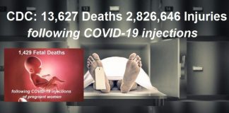 Official U.S. Government Stats on COVID Vaccines: 13,627 Deaths 2,826,646 Injuries 1,429 Fetal Deaths in Pregnant Women/ By Brian Shilhavy Graphic showing COVID-19 vaccine-related deaths data through August 14, 2021.