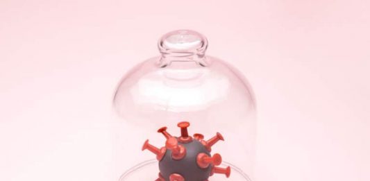 A model of a virus protected under a glass dome.