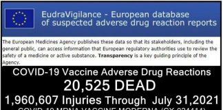 COVID-19 Establishment Narrative Built On Foundation of Straw