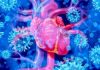 100+ Ontario Youth Sent to Hospital for Vaccine-Related Heart Problems, Report Shows Illustration of a human heart surrounded by virus particles.