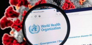 The WHO Is an Institution of Corruption/ By Dr. Joseph Mercola and Dr. Wolfgang Wodarg