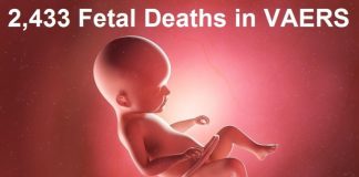 2,433 Dead Babies in VAERS as Another Study Shows mRNA Shots Not Safe for Pregnant Women