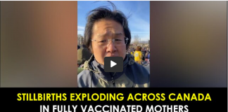 Stillbirths Exploding Across Canada In Fully Vaccinated Mothers/ By Bright Light News