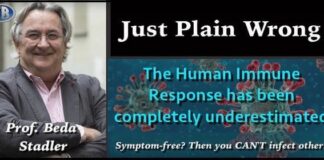 Coronavirus: Why Everyone Was Wrong. It is Not a “New Virus”. “The Fairy Tale of No Immunity”/ By Beda M Stadler