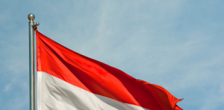 Austria: Clear Sight or at the Abyss of Chaotic Tyranny. “Parliaments only serve to Ratify what the Dictators Decide”/ By Peter Koenig