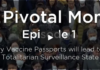 Why Vaccine Passports Will Lead To A Totalitarian Surveillance State/ By “This Pivotal Moment”