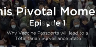 Why Vaccine Passports Will Lead To A Totalitarian Surveillance State/ By “This Pivotal Moment”