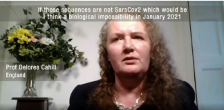 Dr. Dolores Cahill: PCR test Sequencing found Influenza A and B, not Sars-Cov2 — Potential Fraud and Malfeasance