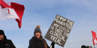 Public support for Freedom Convoy