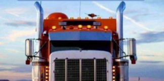 #TruckersConvoy2022/ By Free to Fly Canada