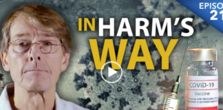 Dr Mike Yeadon. In Harm’s Way. The Epic Del Bigtree Interview (HD)