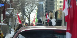 Unconstitutional Canadian Government Mandates Destroy Lives and Jobs/ Interview at Freedom Rally, Ottawa, ON