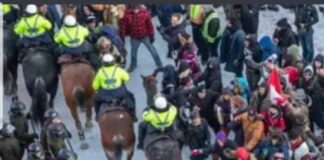 #Shocking Police Horses tramples Elderly Women using a Walking Aid, while peacefully protesting in Ottawa this morning…
