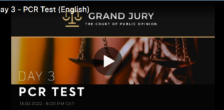 Grand Jury Day 3 — PCR Test Fraud/ PCR Tests used globally not fit for purpose. Drosden Protocols Fraudulent.