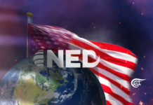 Washington rushes to hide its ‘octopus’ NED funding in Ukraine/ By Prof. Anderson