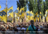 Russia Will Fulfill the Noble Goals of Protecting Donbas: Putin Crowd waving yellow and blue flags with a trident symbol in Kyiv, Ukraine.