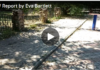 Ukraine Deploying Petal Mines Against Donetsk Civilians/ Report by Eva Bartlett Sunlit cobblestone path bordered by plants and an iron gate.