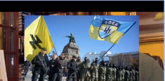 On Western Support for Nazism