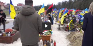 Ukraine Nazism/ By Brian Berletic