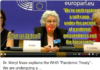 Dr. Meryl Nass and the Globalist “Soft Coup”. Eerily calm expert discusses pandemic preparedness and bioweapons at EU event.