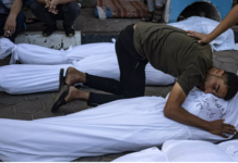 Israel ‘stealing organs’ from bodies in Gaza, alleges human rights group/By Joshua Askew