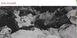 Operation Barbarossa and Kursk/ By Dan Kovalik